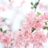 2017电视剧主题曲女王张碧晨跨年唱一吻之间