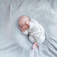 《育儿视频》:启蒙早教认知,小狗汪汪队冒险大