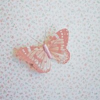 白小白《幸运有你》唱一首心里的歌,以后的路