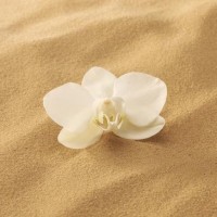 卓依婷在广西南宁演唱会献唱一首《一剪梅》台