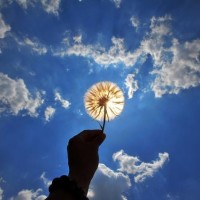 刀郎的这首《敢问路在何方》真好听