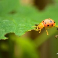 2017网络最火的一首伤感情歌好听极了百听不