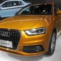 木鱼我的世界 生活大冒险第五季 骑大象