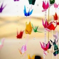 真人版我的世界狼人之夜