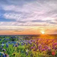 Colour Song 英文颜色歌