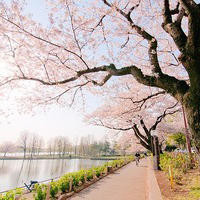 如何开淘宝店教程视频,怎么开网店教学视频,如