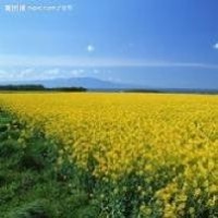 如何在手机上开淘宝网店的详细步骤 手机淘宝