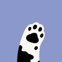 支付宝到账10万元,这个铃声最近很火啊!教你做