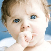 一首动听的歌曲《红尘情花开》超好听,送给亲