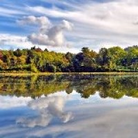 爵士舞成品舞教学视频蔡依林舞蹈大艺术家分解