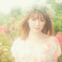 11选5免费计划软件人工