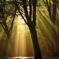 迷你世界,安妮乔治相亲啦,汤米做媒婆