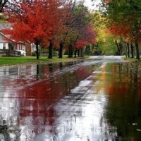 2018淘宝大学免费课程 淘宝店铺装修教程及常