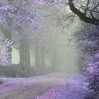 2018新手怎么装修淘宝店 淘宝店铺装修教程 新