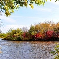 2018年广电总局最新禁令已颁出,李小璐害了大