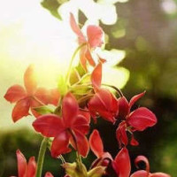 泰国经典歌曲《想念你哦》MV 旋律很优美