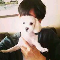 贝瓦儿歌 江南style儿歌