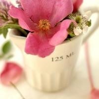 杨紫才是万能CP体质吧 配张一山超甜配李现初