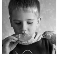 幼儿园超火的手指舞《乖宝宝》,幼师表演的超