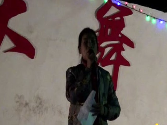 桃源县关于春节期间禁燃禁放烟花爆竹的倡议书