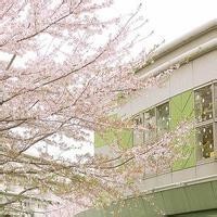 班淑得知后山的古碑文上有明字的写法,班淑立