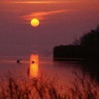 CF手游,这个V3账号有十几把神器,你都见过吗