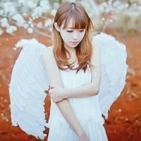 如何设置微信主题,再不用就out了,都看疯了!