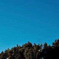 荒野求生夫妻档,迈克和露丝来到了水边找食物