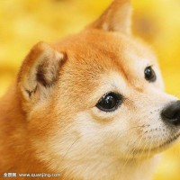 《骑在银龙的背上》,范玮琪曾经翻唱过,但是无