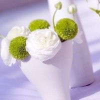 少儿早教3D动画 汽车总动员 教你认识各种车辆