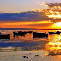 《屌德斯解说》动物进化战争模拟器 侏罗纪公