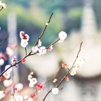 迪丽热巴搭档杜海涛热舞,这画面真是不敢想象