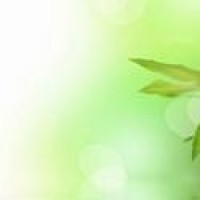 迷你世界:送你一个红土种子的地形码,别搞错了