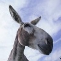 世界顶级纸飞机大师,折出空中停留时间最长的