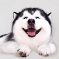 《家有儿女》刘星买彩票中奖了 骑着一辆自行