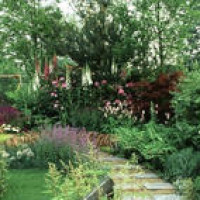 陶笛入门教学视频-陶笛演奏