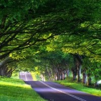 越南人看中国抖音视频的反应真的让小编都震撼