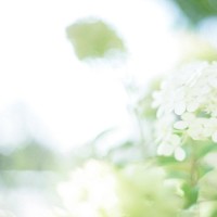 一首《没有了爱情也要生活》送给所有的朋友