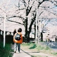 刘亦菲分手引发微博许愿关注 张翰鹿晗都在榜