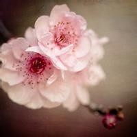 农民工跳的霹雳舞 还记得那个年代的音乐嘛