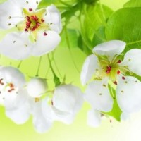 迪丽热巴舞蹈首秀,鹿晗看的眼都直了,关晓彤吃