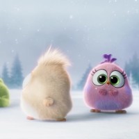 安徽卫视国剧盛典颁奖嘉宾,杨钰莹歌曲联唱