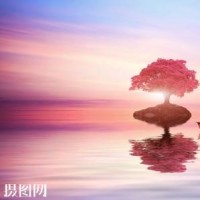 IG.Rookie 赛后采访,一个韩国人能把中文说得这