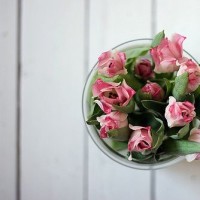 TF家族:丁程鑫也太萌了吧,小手挥着打马嘉琪,这