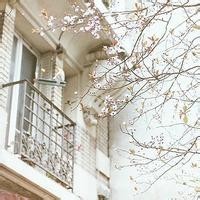 猜成语中年发福和脱发,看陈赫郑凯怎么形容,李