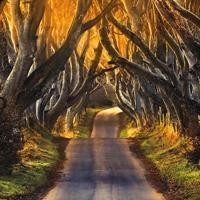 鲁豫有约 吴彦祖喜欢和别人不一样