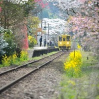 人类奥运史上最远的三级跳,简直难以置信裁判
