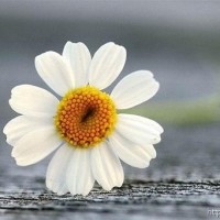 男孩子也可以露露锁骨,大红配粉红也能这么帅