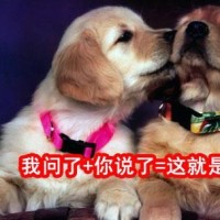 《奔跑吧兄弟》邓超喷水这段真的太搞笑了,看