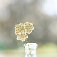 组装拖船帮助儿童理解及记忆单词英语儿童早教